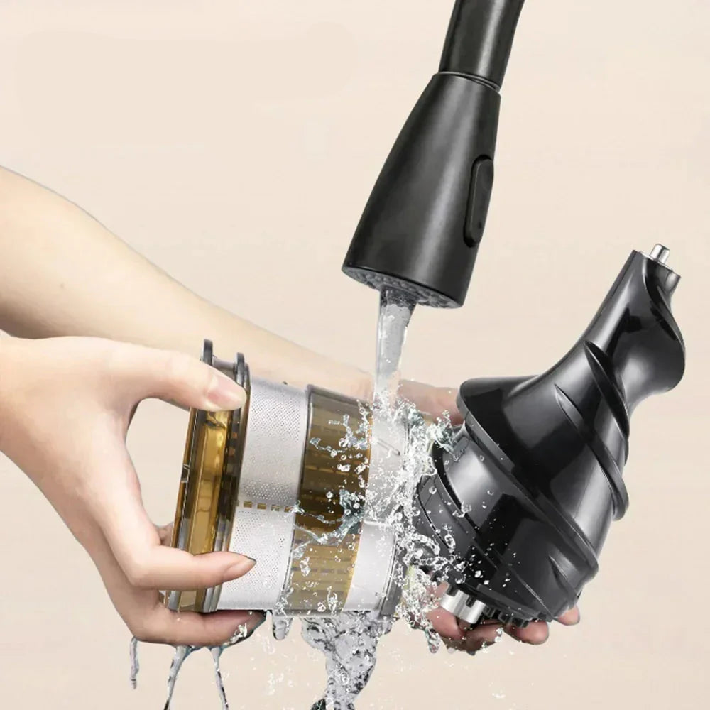 Extracteur de Jus Multifonction à Haute Puissance – 300W