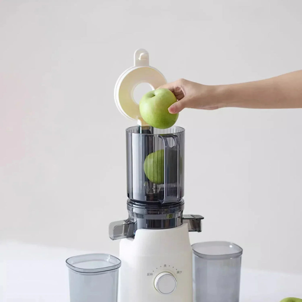 Extracteur de Jus Premium à Rotation Lente – Haute Performance & Multifonction !