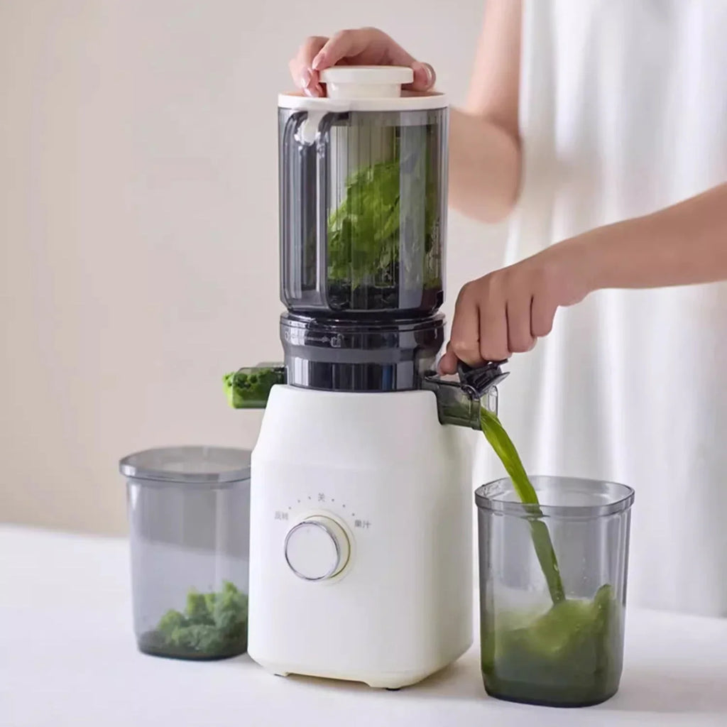 Extracteur de Jus Premium à Rotation Lente – Haute Performance & Multifonction !