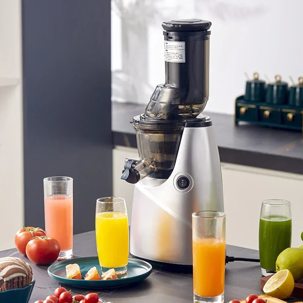 Extracteur de Jus Multifonction à Haute Puissance – 300W