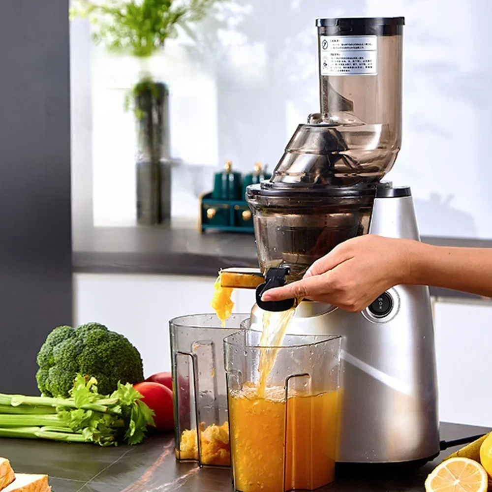 Extracteur de Jus Multifonction à Haute Puissance – 300W