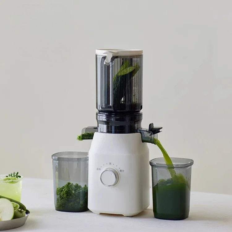 Extracteur de Jus Premium à Rotation Lente – Haute Performance & Multifonction !