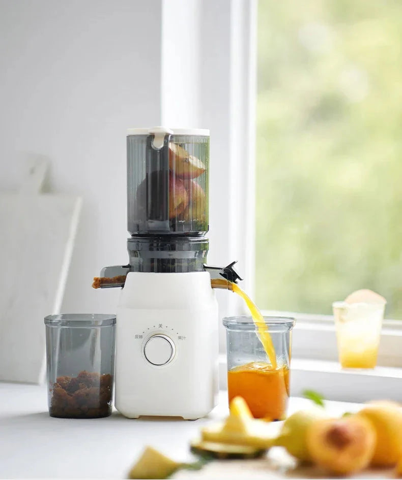 Extracteur de Jus Premium à Rotation Lente – Haute Performance & Multifonction !